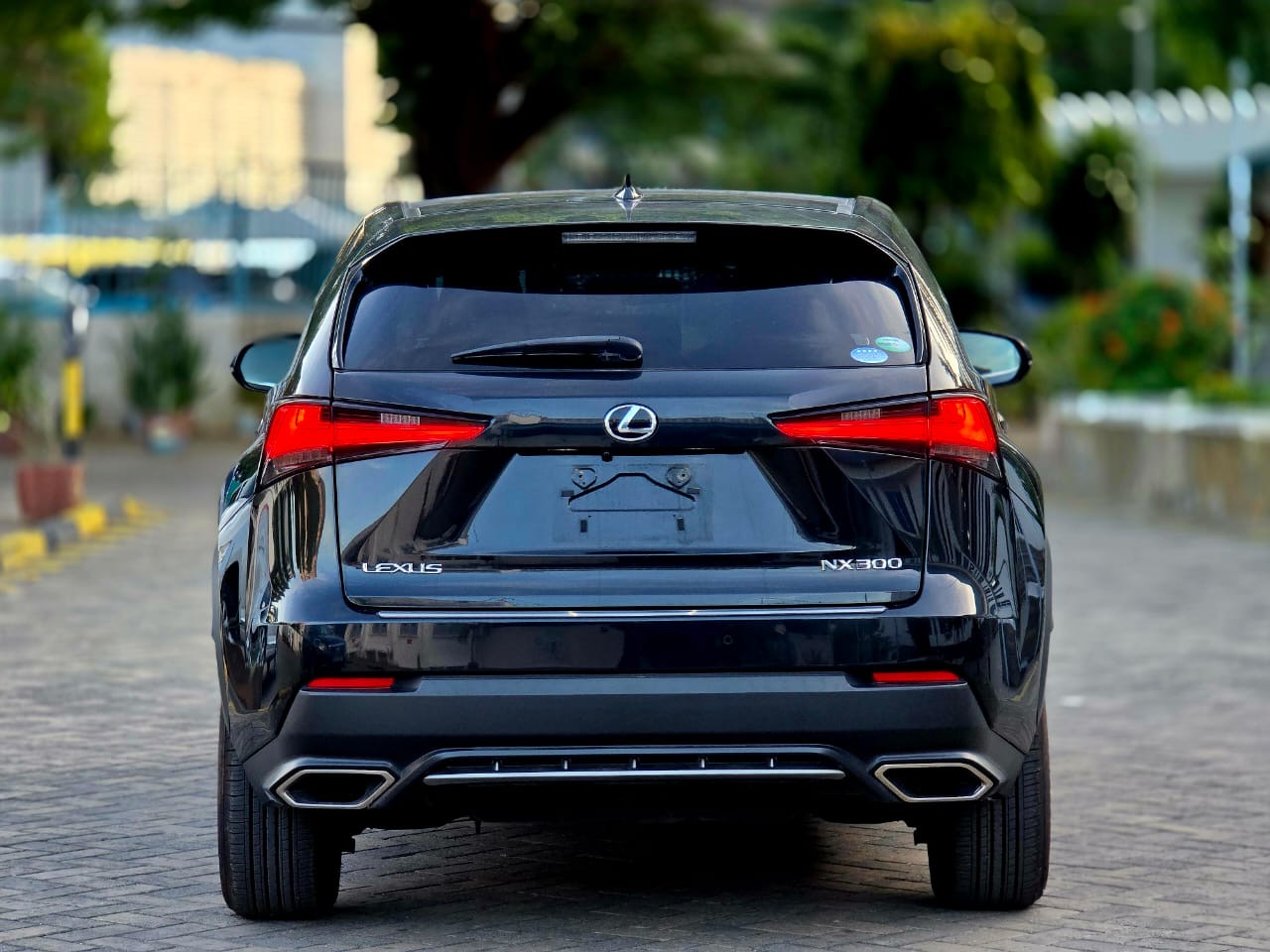 2018 Lexus NX300 - Thumbnail 10