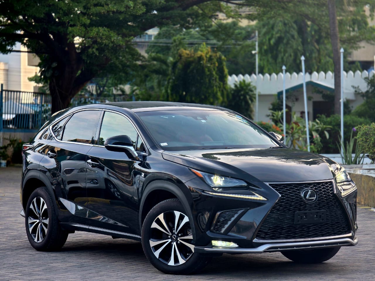 2018 Lexus NX300